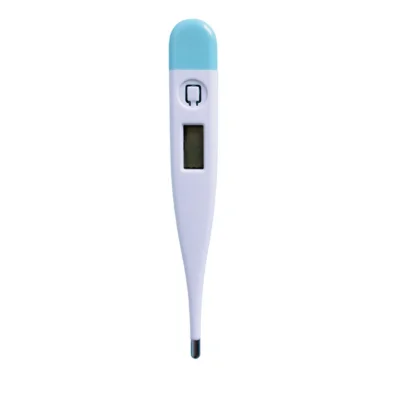 Digital Thermometer